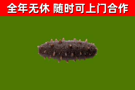 安康市烟酒回收干海参.jpg